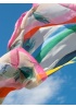 Foulard Rainbow