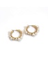 Envy | Pearl Earrings
