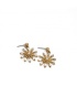 Envy | Star Earrings