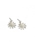 Envy | Star Earrings