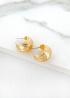 Envy | Small Textured  Earring
