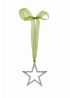 IvyPark | Small Diamante Hanging Star