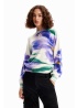 Desigual | Ebro Pullover