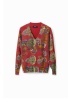 Desigual | Galactik Pullover