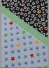 Ombre | Star Scarf