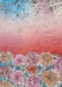 Ombre | Scarf