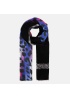 Ombre | Scarf