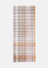 Ombre | Thick Scarf