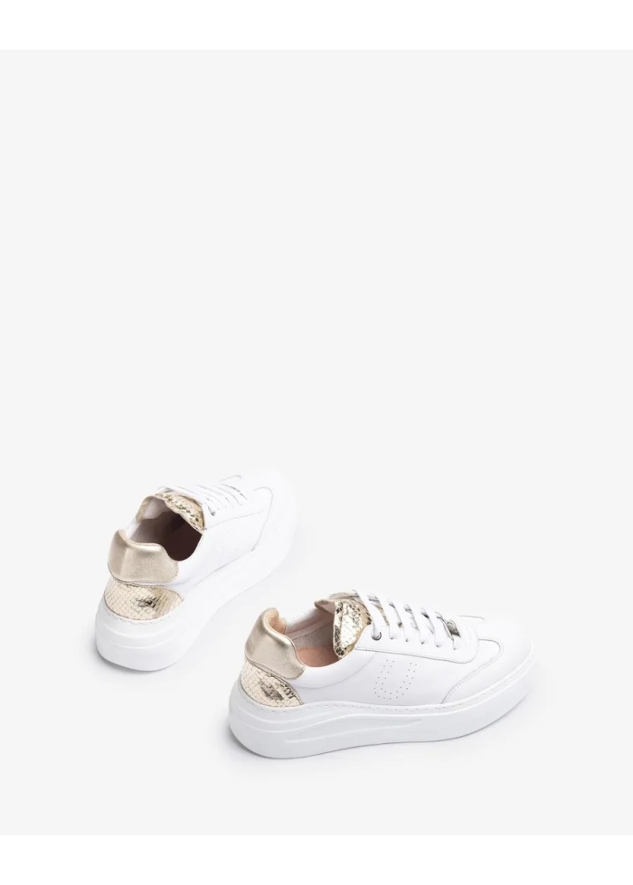 Unisa | Fraile Trainer