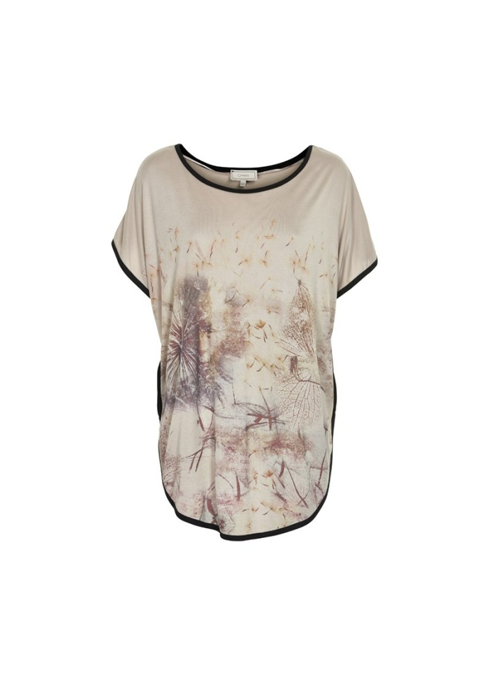 Cream | Dandelion Top