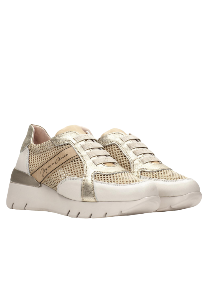 Hispanitas | Trainer