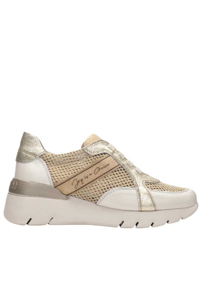 Hispanitas | Trainer