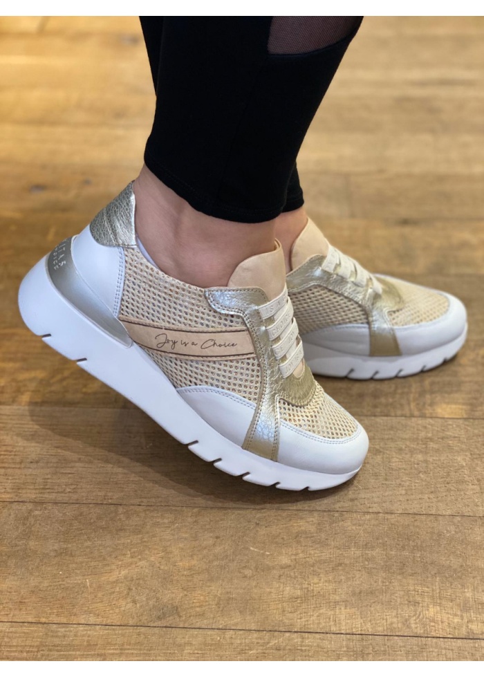 Hispanitas | Trainer